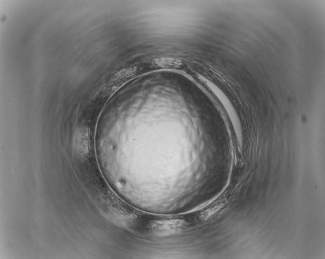 X0000059100323200510172126