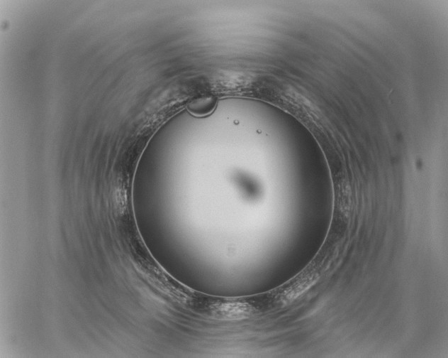 X0000059100324200510172126