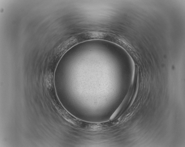 X0000059100325200510172126