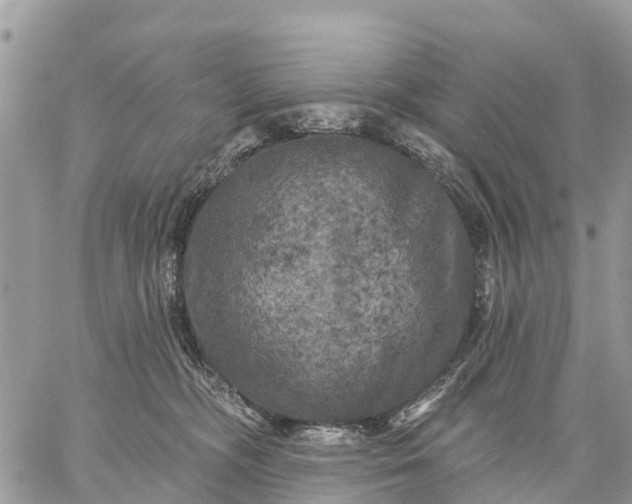 X0000059100326200510172126