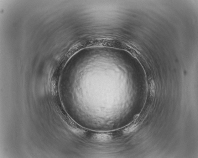 X0000059100327200510172126