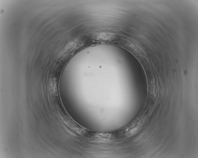 X0000059100328200510172126