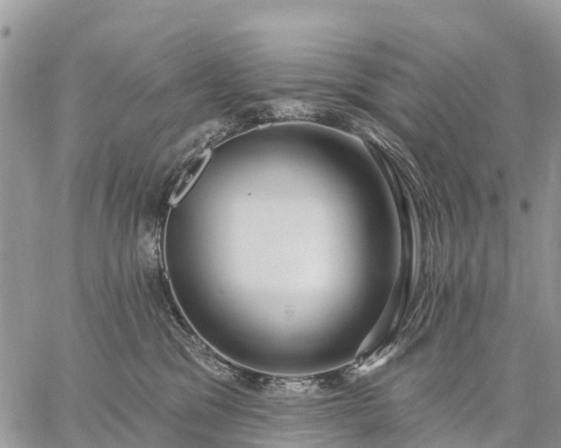 X0000059100329200510172126