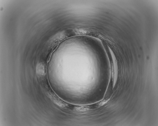 X0000059100331200510172126