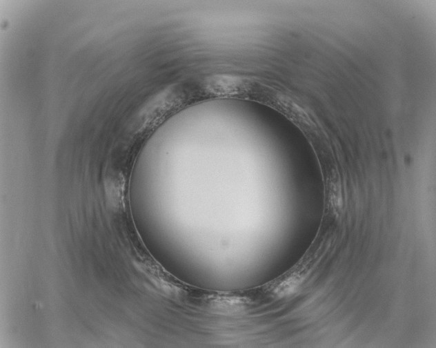 X0000059100332200510172126