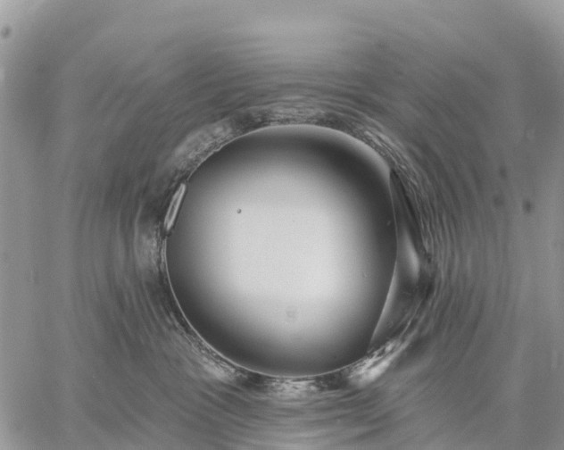 X0000059100333200510172126