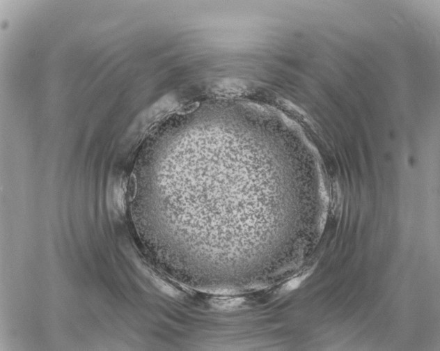 X0000059100334200510172126