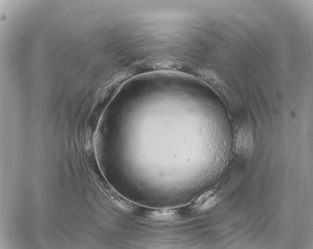 X0000059100335200510172126