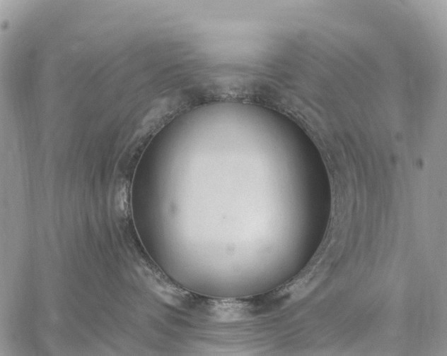 X0000059100336200510172126