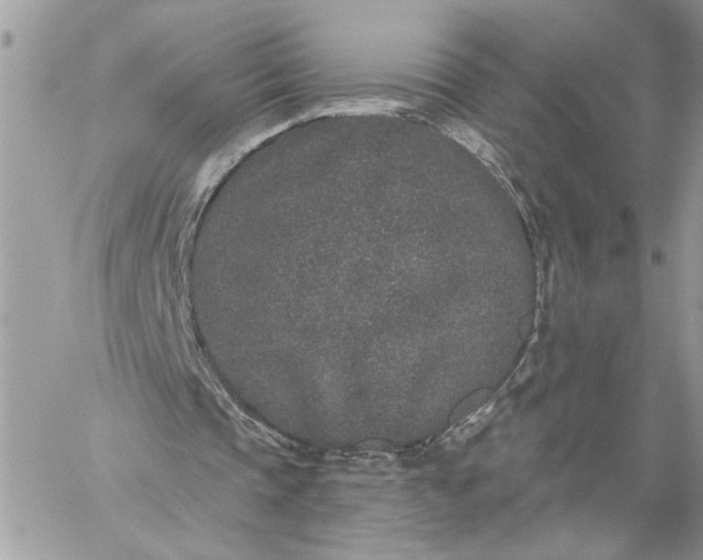 X0000059100337200510172125