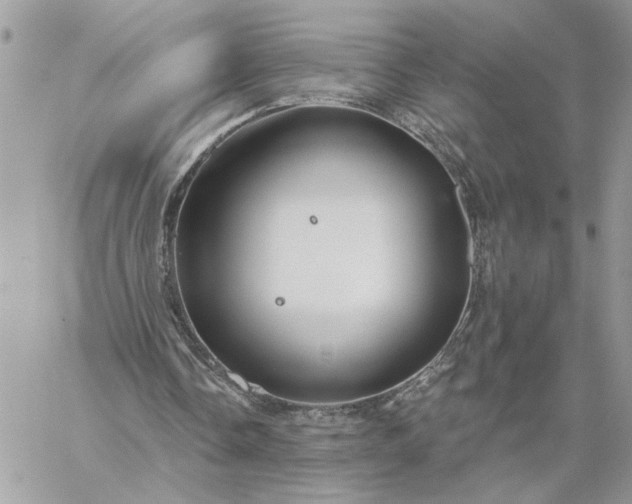 X0000059100338200510172125