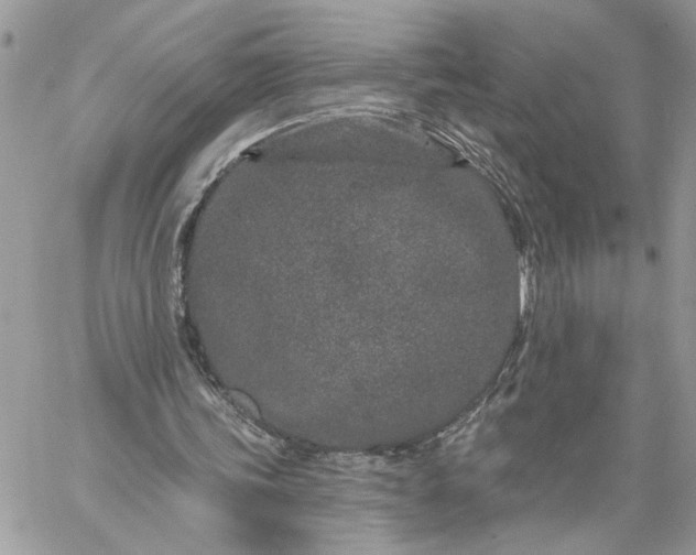 X0000059100339200510172125