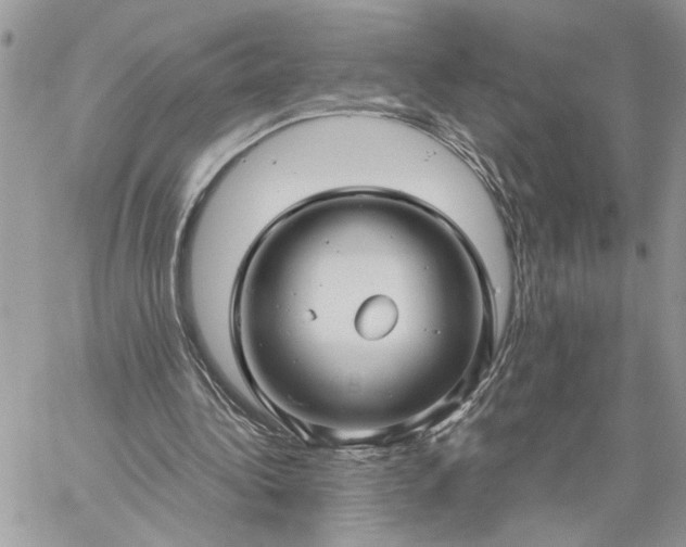 X0000059100340200510172125