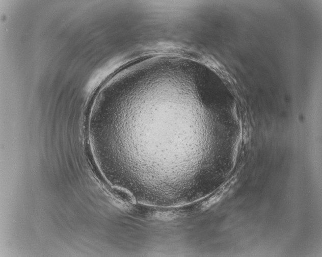 X0000059100341200510172125