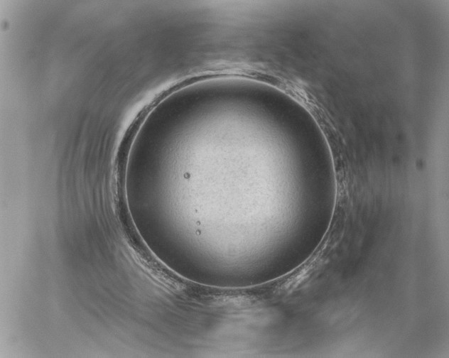 X0000059100342200510172125