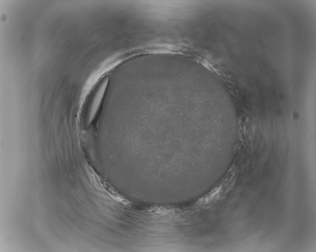 X0000059100343200510172125