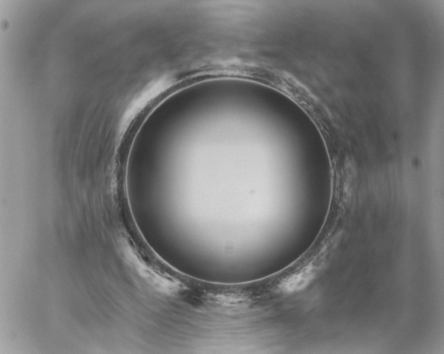 X0000059100344200510172125