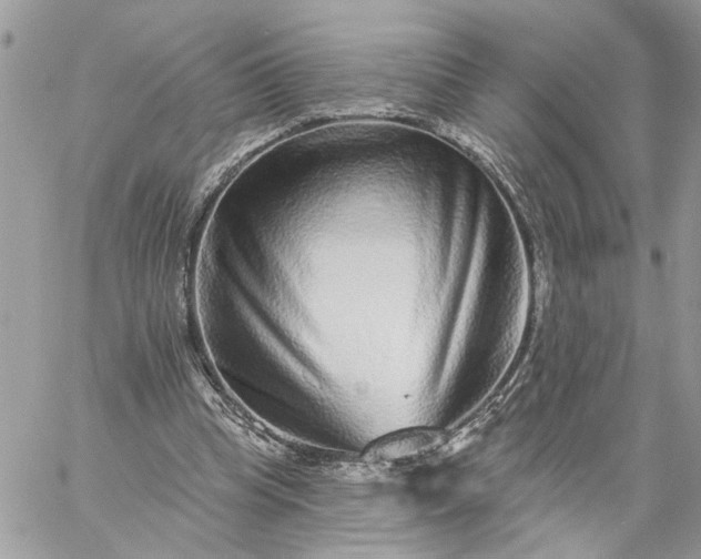 X0000059100345200510172125