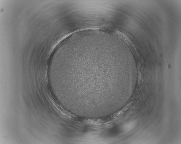 X0000059100346200510172125