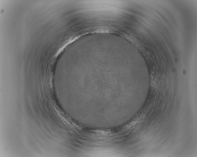 X0000059100347200510172125