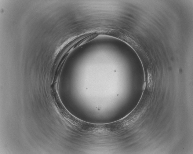 X0000059100348200510172125