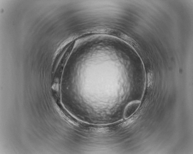 X0000059100349200510172125