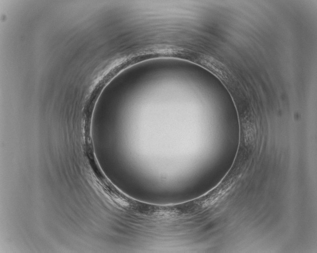 X0000059100350200510172125