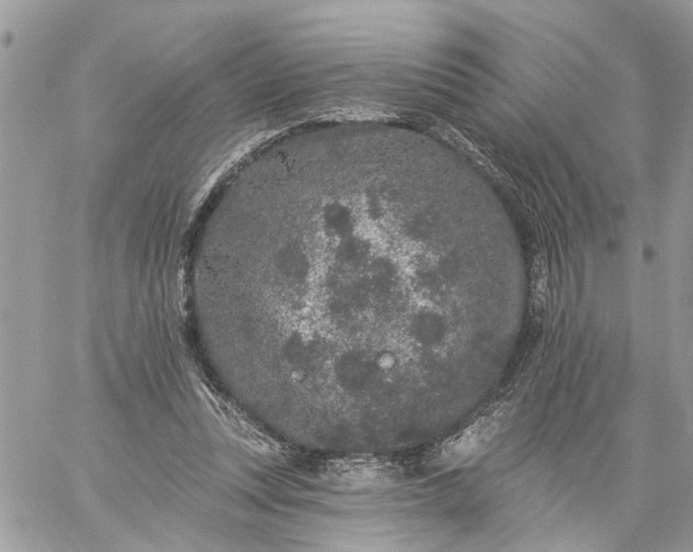 X0000059100351200510172126