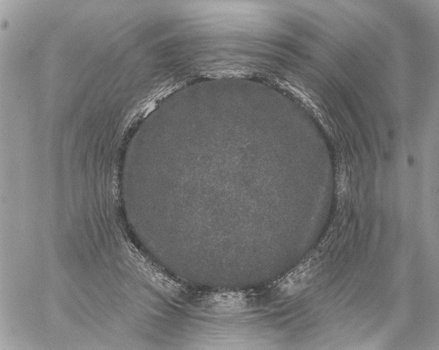 X0000059100353200510172126