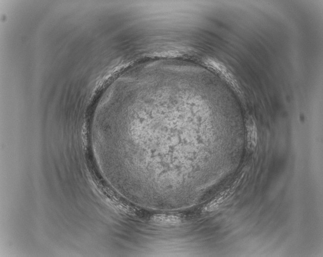 X0000059100354200510172126