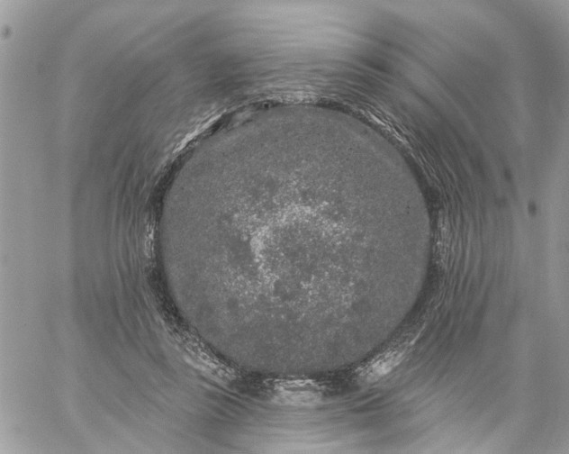 X0000059100355200510172126