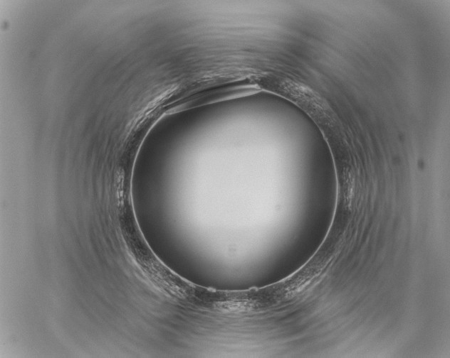 X0000059100356200510172126