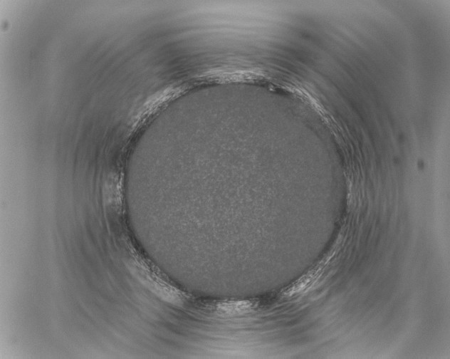 X0000059100357200510172126