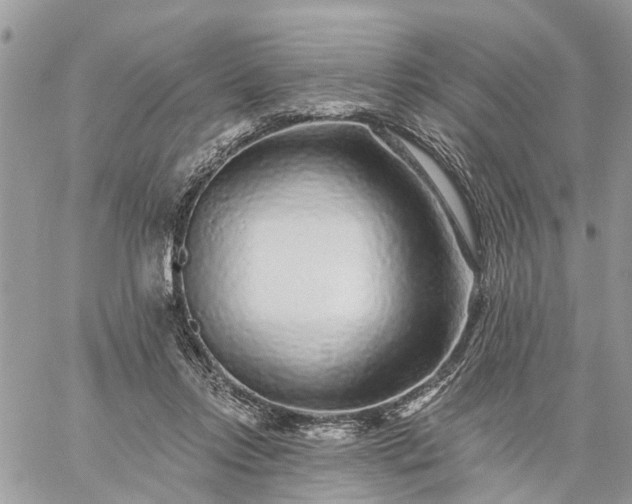 X0000059100358200510172126