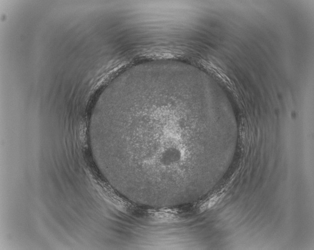 X0000059100359200510172126