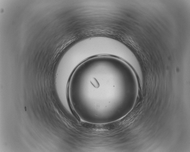 X0000059100360200510172126