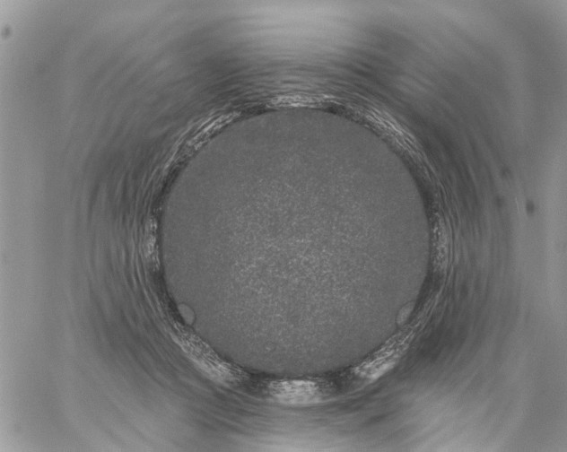 X0000059100361200510172126