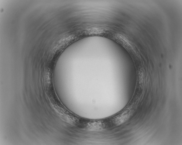 X0000059100362200510172126