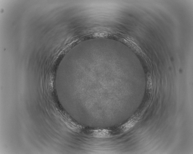 X0000059100363200510172126