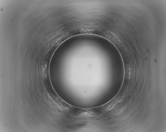 X0000059100364200510172126