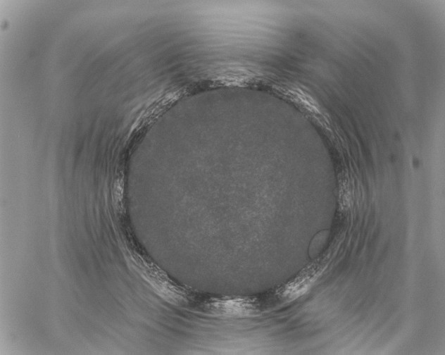 X0000059100365200510172126