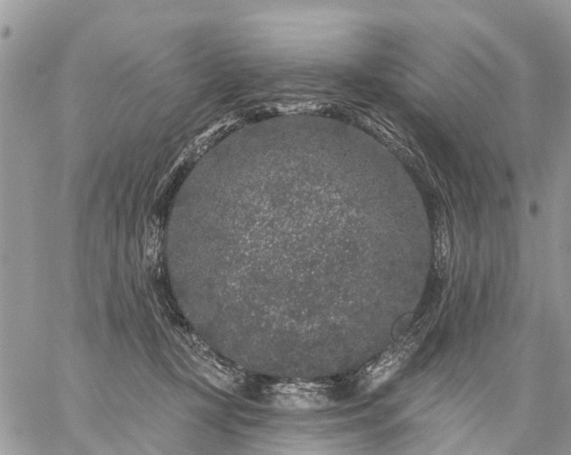 X0000059100367200510172126