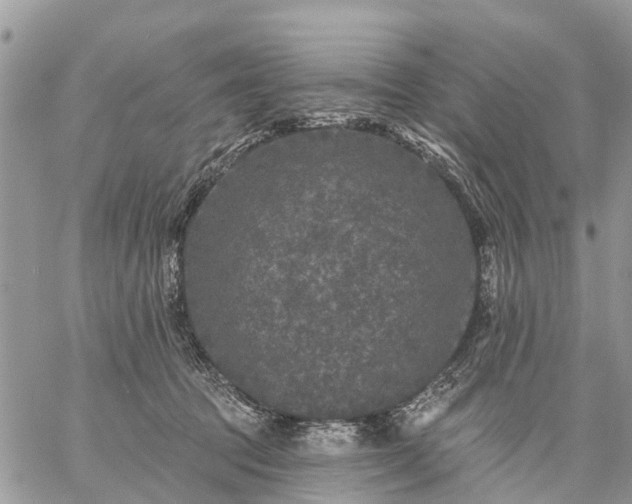 X0000059100369200510172126