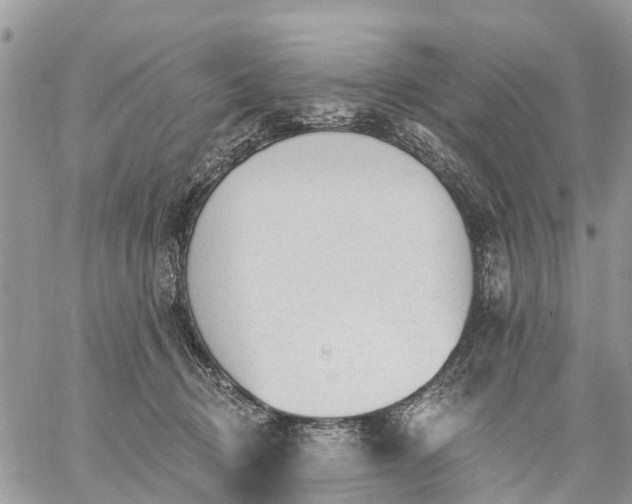 X0000059100370200510172126