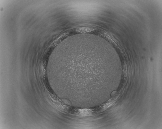 X0000059100371200510172126