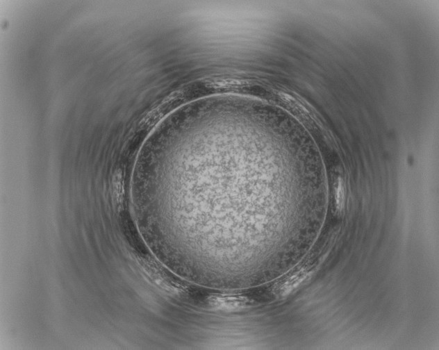 X0000059100372200510172126