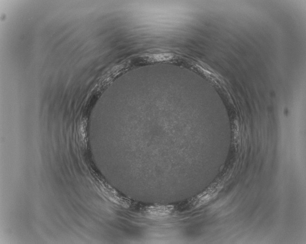 X0000059100373200510172126