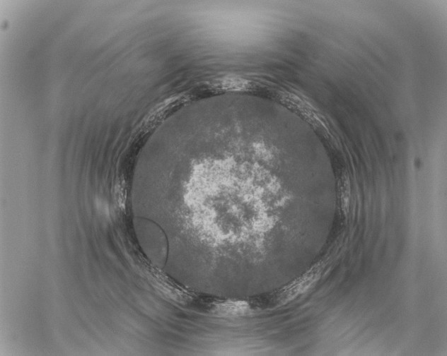 X0000059100374200510172126