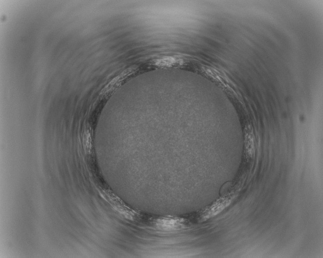 X0000059100375200510172126