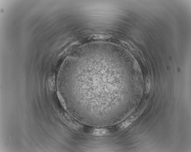 X0000059100376200510172126